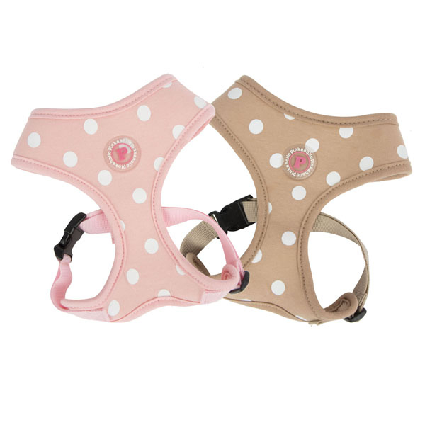SASSA HARNESS